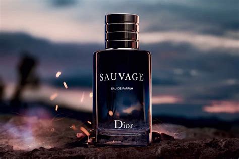 cologne similar to dior sauvage|colognes that smell like sauvage.